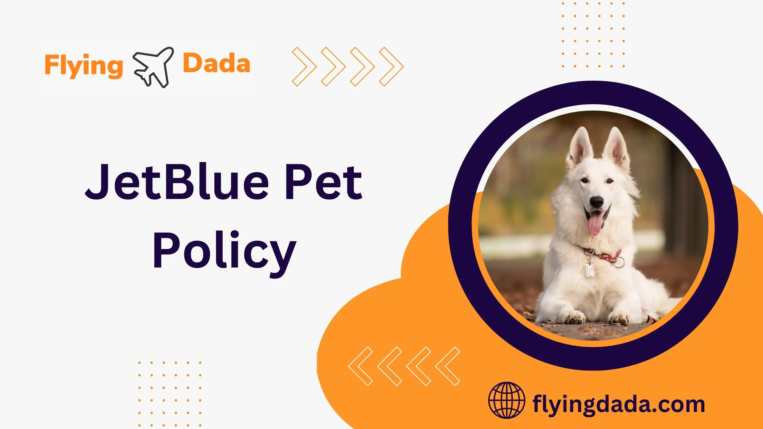 JetBlue Pet Policy